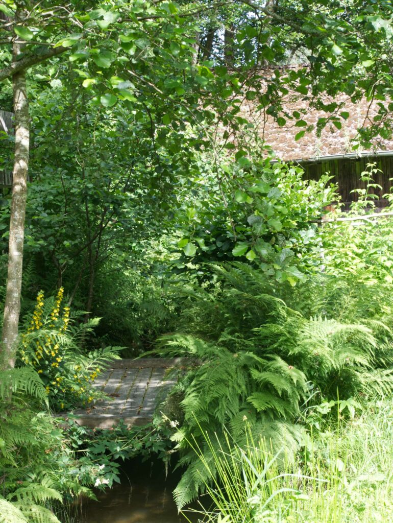 Bachlauf am Haus